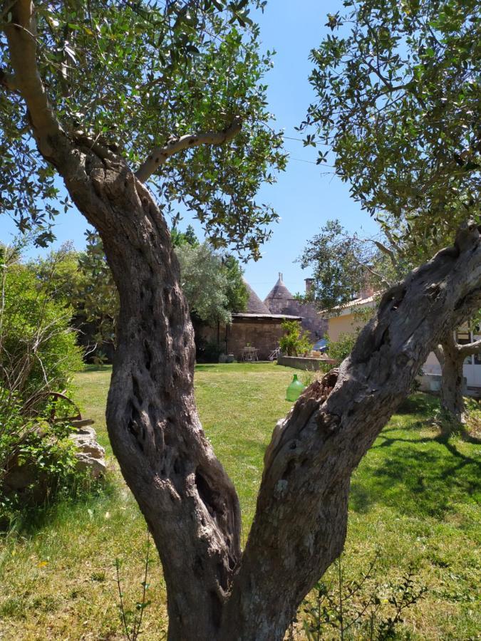 Trullo Galeotto Villa Martina Franca Exteriör bild